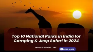 Top 10 National Parks in India for Camping and Jeep Safari in 2024