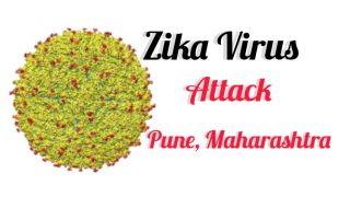 Zika Virus Advisory, Alert regarding Zika virus in Maharashtra