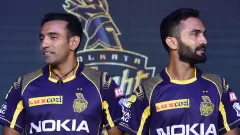 All You Need to Know Picture