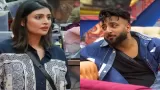 Are Wildcards Malti and Shehbaz Out of Bigg Boss 19 Finale?