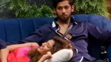 Bigg Boss 19: Baseer