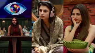 Bigg Boss 19 Contestant Farhana Bhatt: Biography