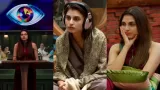 Bigg Boss 19 Contestant