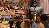 Bigg Boss 19 Day 29 Highlights: Fights, Tears and Team Nominations