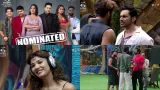 Bigg Boss 19 Day