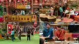 Bigg Boss 19 Day 36 Highlights: Big Fights Over Halwa and Duties
