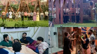 Bigg Boss 19 Day 39 Highlights: Captaincy Task