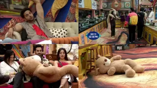 Bigg Boss 19 Day 51 Highlights: Teddy Task