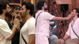 Bigg Boss 19: Gauahar