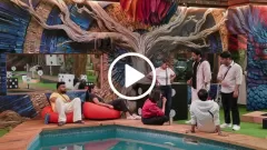 Bigg Boss 19: Watch Mridul Picture
