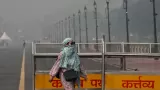 Delhi Air Crisis Self-Inflicted, Not From Stubble: CSE