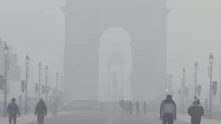 Delhi Fog Chaos? Flights May Be Hit as Airlines Issue Alerts Delhi Fog Chaos? Flights May Be Hit as Airlines Issue Alerts