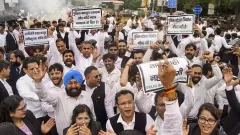 Delhi Lawyers Protest : Lawyers Picture