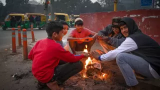 Dense Fog Chokes North India as IMD Warns of Cold Days