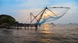 Discover Kochi: A Top