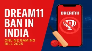 Dream11 Ban? Fantasy Sports Future in India at Risk