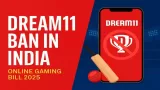 Dream11 Ban? Fantasy Sports Future in India at Risk