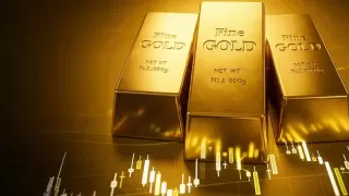 Gold prices have risen 50% this year
