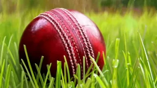 How Cricket Ball Manufactured