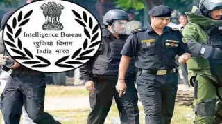 IB Security Assistant Answer Key 2025: Check & Challenge