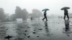 IMD Forecasts Heavy Rains for Picture