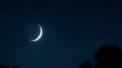 Kartik Amavasya 2025: Today is Picture
