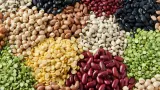 Niti Aayog Plan to Double India’s Pulses Output by 2047