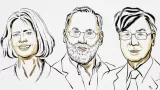 Nobel Prize 2025: Mary Brunkow, Fred Ramsdell, and Shimon Sakaguchi Honored in Medicine