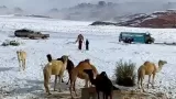 Rare Saudi Desert Snowfall Sparks Climate Alarm for India