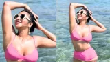 Shama Sikander took a