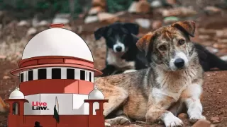 Supreme Court Summons States Over Delay in Stray Dog Rules Supreme Court Summons States Over Delay in Stray Dog Rules