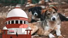 Supreme Court Summons States Over Picture