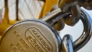 Telangana Bandh Today: Protests Erupt Over BC Quota Demand