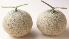 The most expensive fruit: This Picture