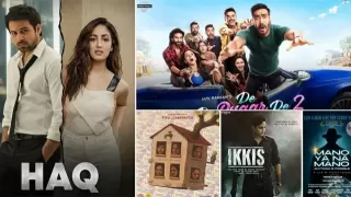 Top 10 Indian Movies of 2025 That Dominated the Year