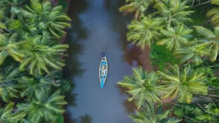 Top 10 Offbeat Monsoon Places to Visit in India