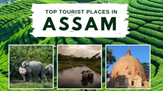 Top 10 Places to Visit in Assam in 2025