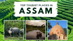 Top 10 Places to Visit Picture
