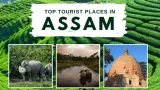 Top 10 Places to