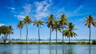 Top 5 Places to Visit in South India in 2025
