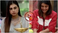 Video: Bigg Boss 19 Captaincy Picture