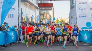 When and How Did the Marathon Begin? Origin and History Explained When and How Did the Marathon Begin? Origin and History Explained
