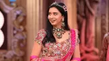 Who is Tanya Mittal? Check Bigg Boss 19 Fame Lifestyle, Net Worth and Career