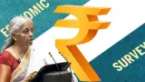 Budget 2026: What is the Economic Survey?