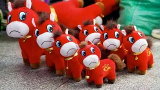 China viral toy: Why is this