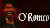O Romeo Review 2026: Shahid Kapoor’s Dark Romance Impresses Fans