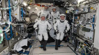 SpaceX Capsule Brings Sick Astronaut Home in Rare Nasa Evac SpaceX Capsule Brings Sick Astronaut Home