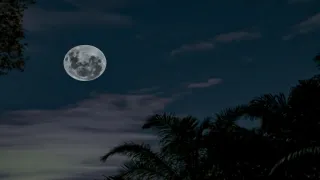 Today Panchang 27 January 2026: Shubh