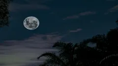 Today Panchang 27 January 2026: Picture