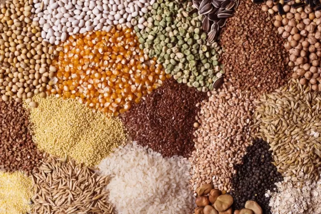 grains